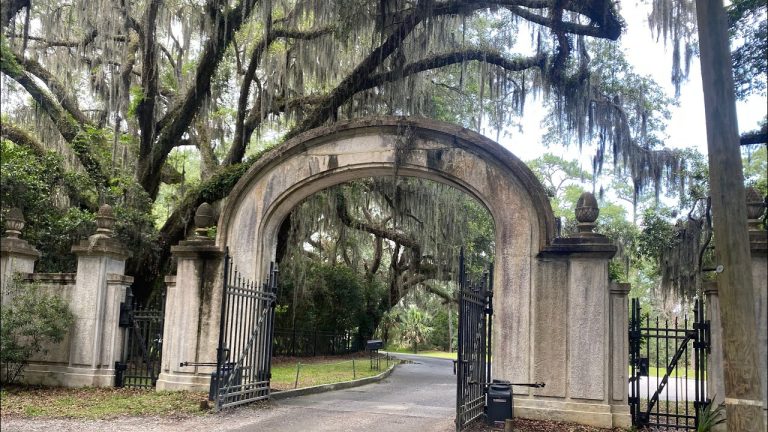 Discover the Retro Charm of Wormsloe Plantation #savannah